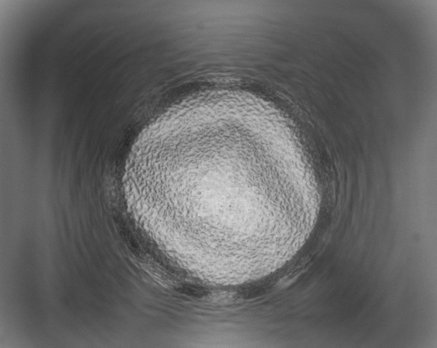 X0000082140609200702162144