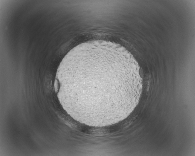 X0000082140615200702162144