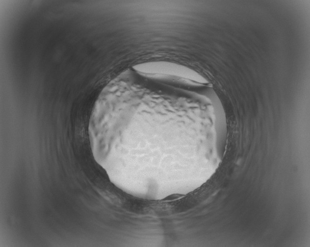 X0000082140617200702162144