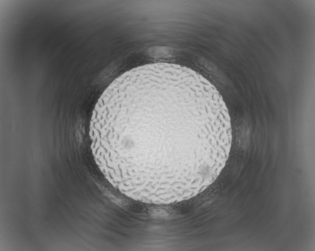 X0000082140618200702162144