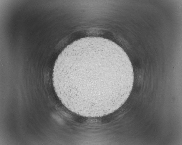 X0000082140619200702162144