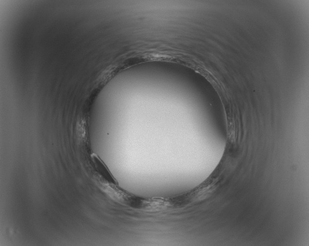 X0000082140621200702162144