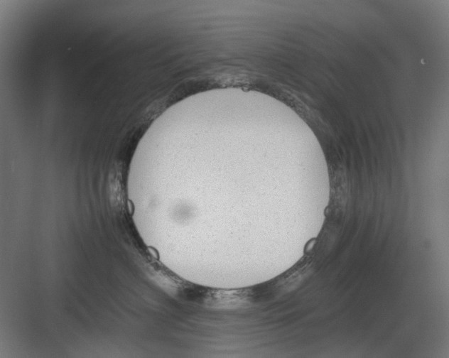 X0000082140622200702162144