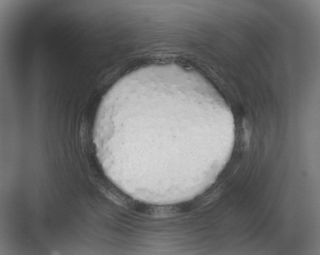 X0000082140623200702162144