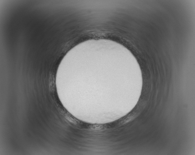 X0000082140624200702162144