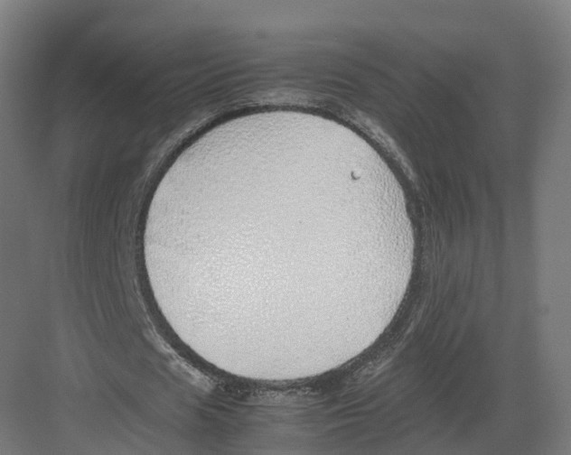 X0000082140625200702162143