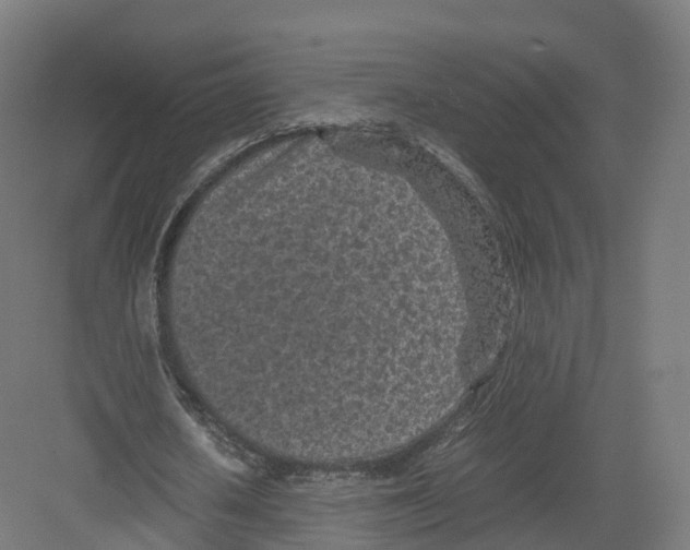 X0000082140626200702162143