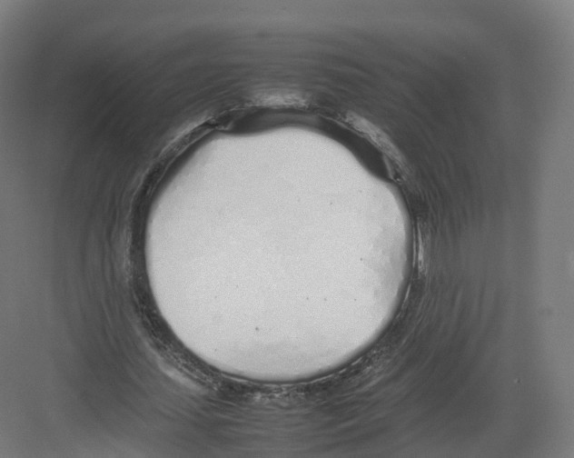 X0000082140627200702162143