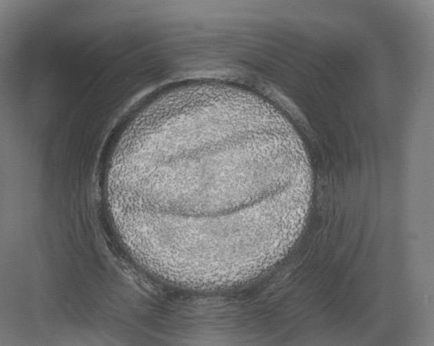 X0000082140628200702162143