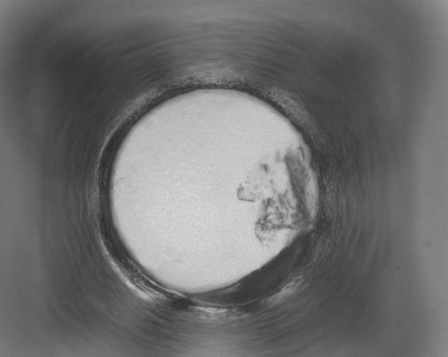 X0000082140630200702162143