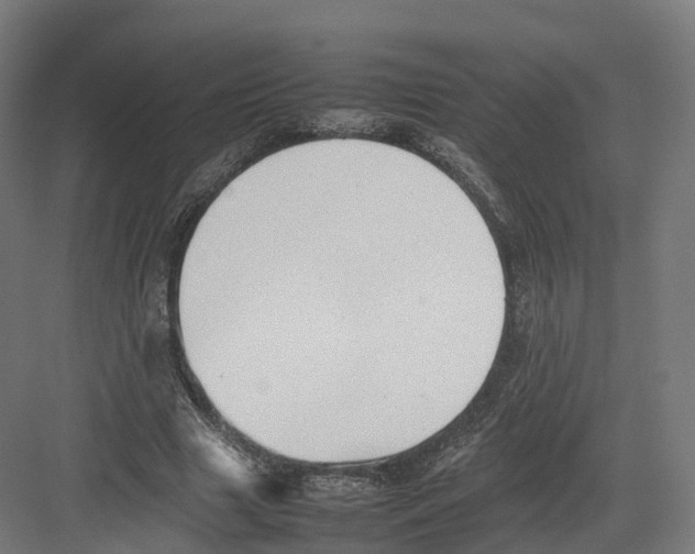 X0000082140633200702162143