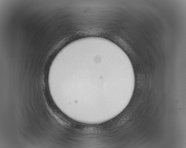 X0000082140634200702162143