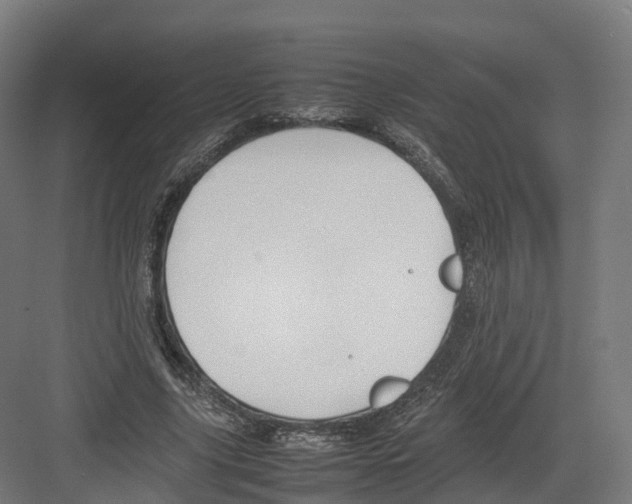 X0000082140635200702162143