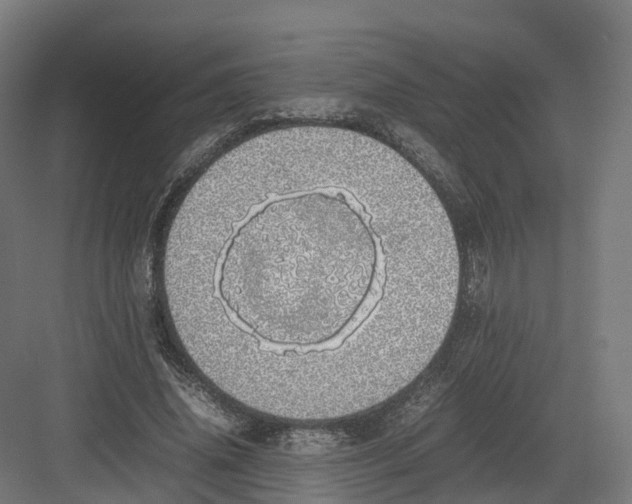 X0000082140636200702162143