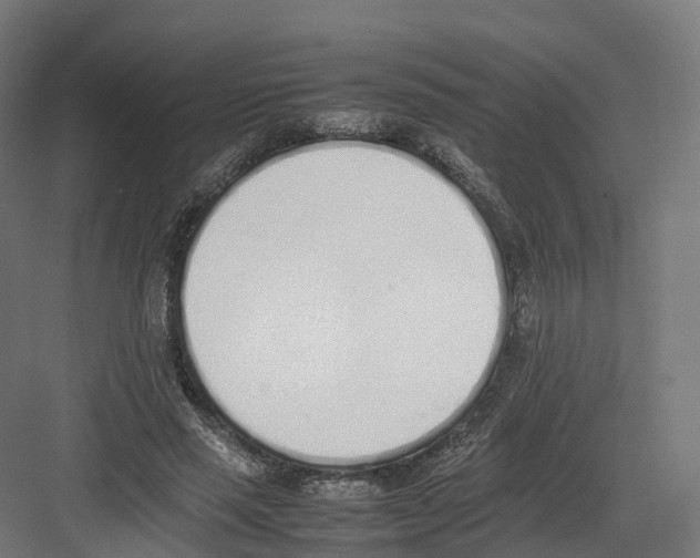 X0000082140637200702162143