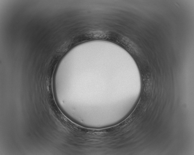 X0000082140643200702162144