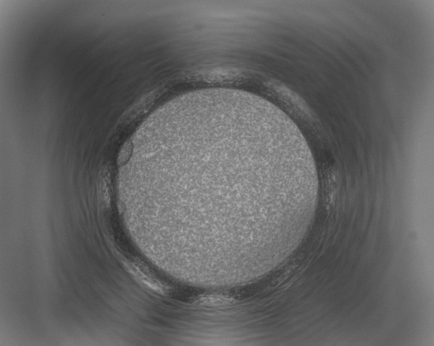 X0000082140644200702162144