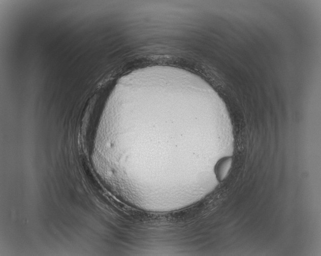 X0000082140646200702162144