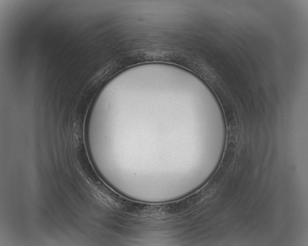 X0000082140648200702162144