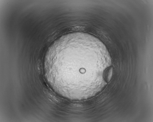 X0000082140649200702162144