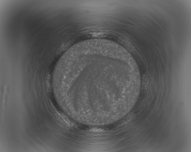 X0000082140650200702162144