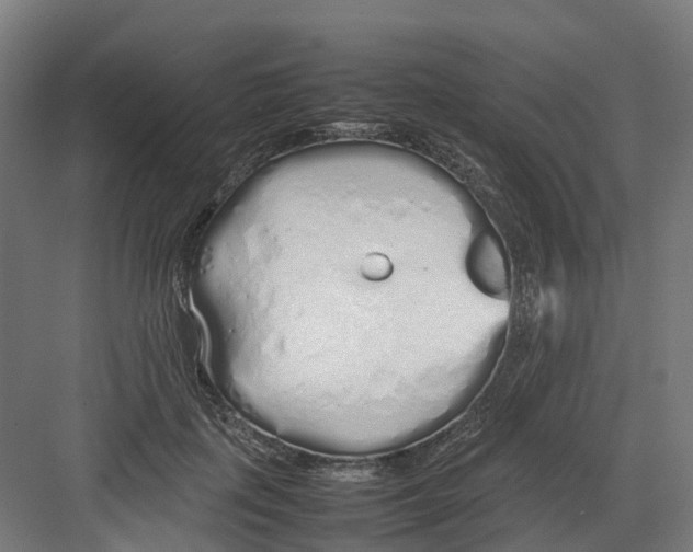 X0000082140651200702162144