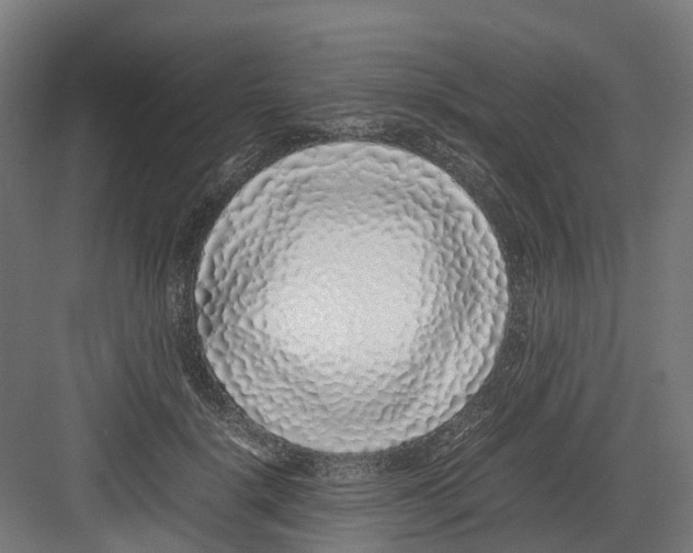 X0000082140652200702162144