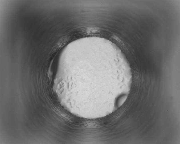 X0000082140654200702162144