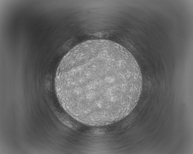 X0000082140656200702162144