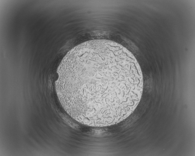 X0000082140662200702162144