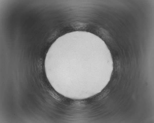 X0000082140664200702162144