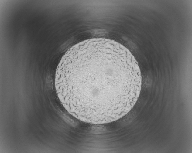 X0000082140666200702162144