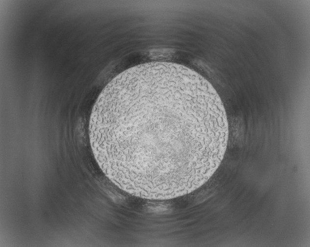 X0000082140667200702162144