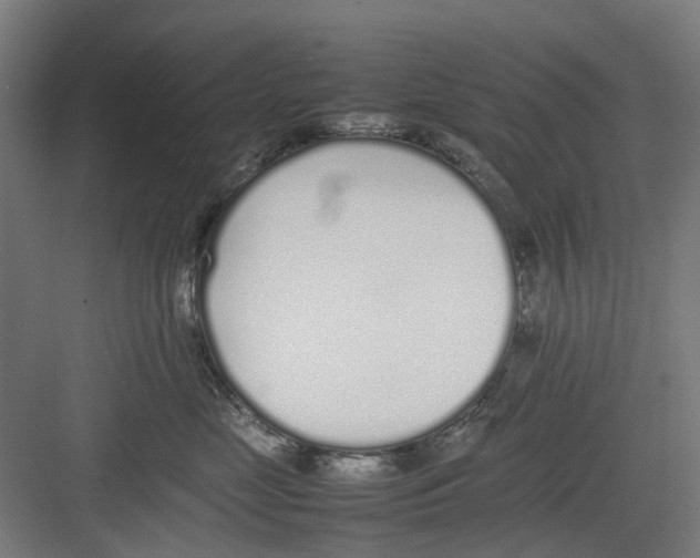 X0000082140669200702162144