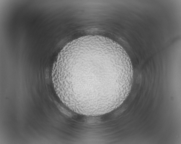 X0000082140670200702162144