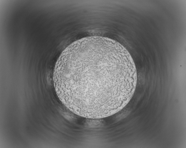 X0000082140671200702162144