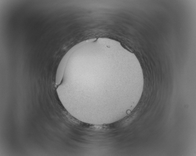 X0000082140672200702162144