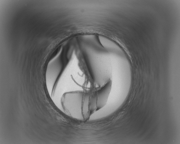 X0000082140673200702162143