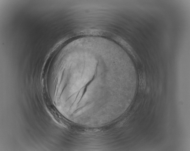 X0000082140674200702162143