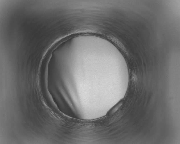 X0000082140676200702162143