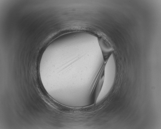 X0000082140677200702162143