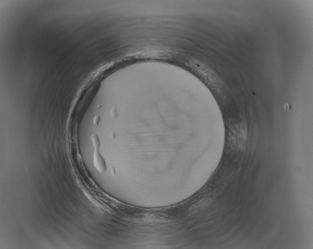 X0000082140678200702162143