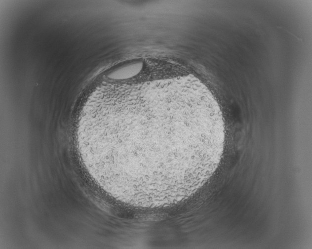 X0000082140679200702162143