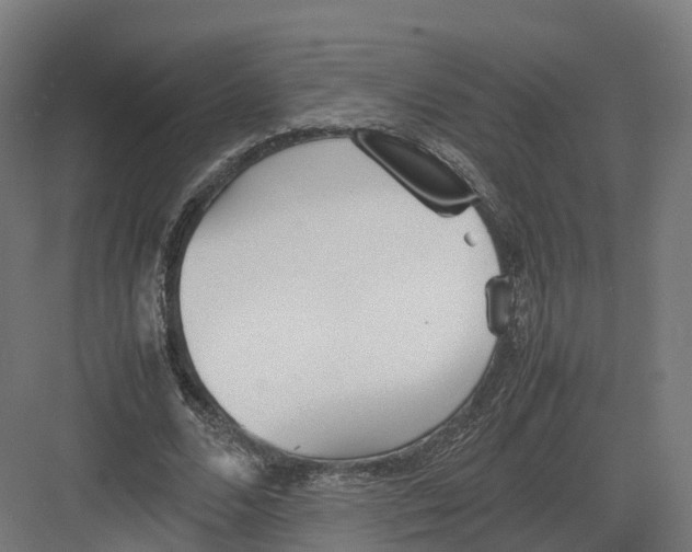 X0000082140680200702162143