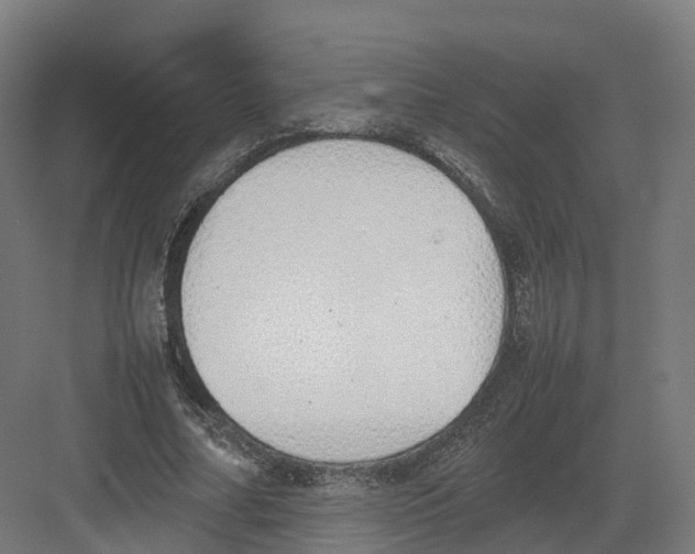 X0000082140682200702162143