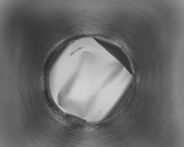 X0000082140684200702162143