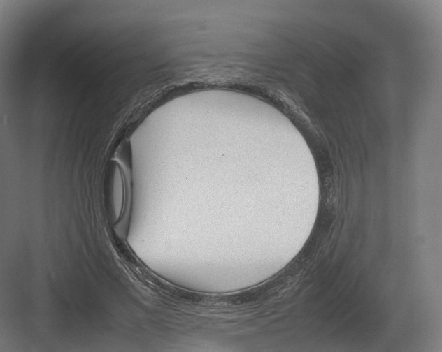 X0000082140685200702162143