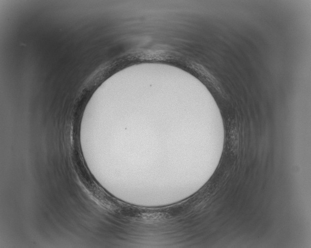 X0000082140686200702162143