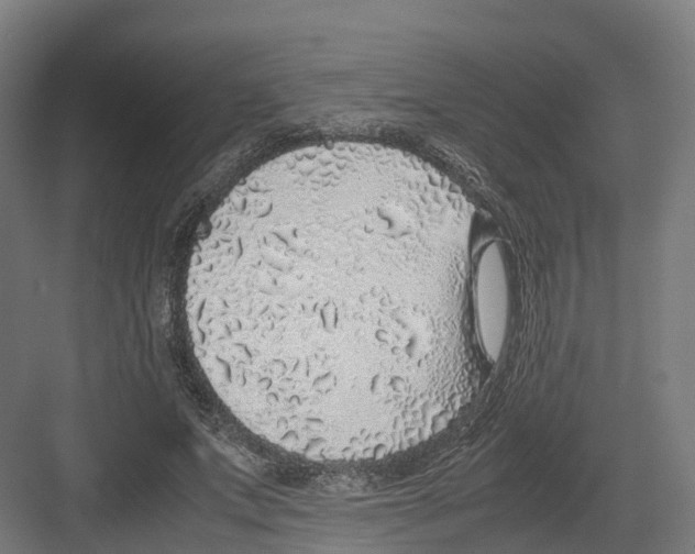 X0000082140687200702162143