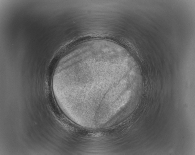 X0000082140688200702162143